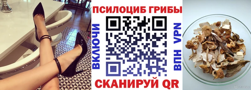 Галлюциногенные грибы Psilocybine cubensis  купить   Дмитровск 